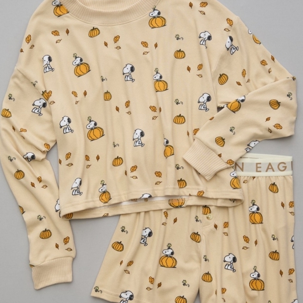 🎃 NWT American Eagle Peanuts Fall Pumpkin Plush PJ Set Size Large